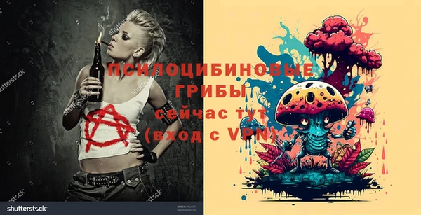 метадон Аркадак