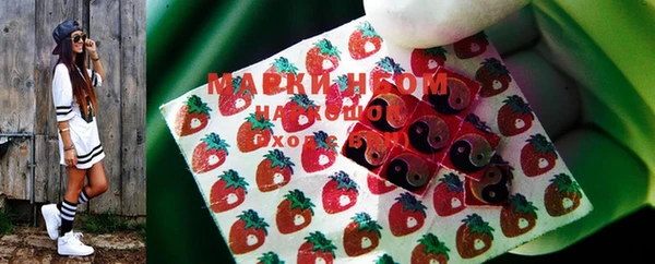 индика Алзамай