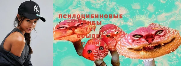 ECSTASY Приозерск